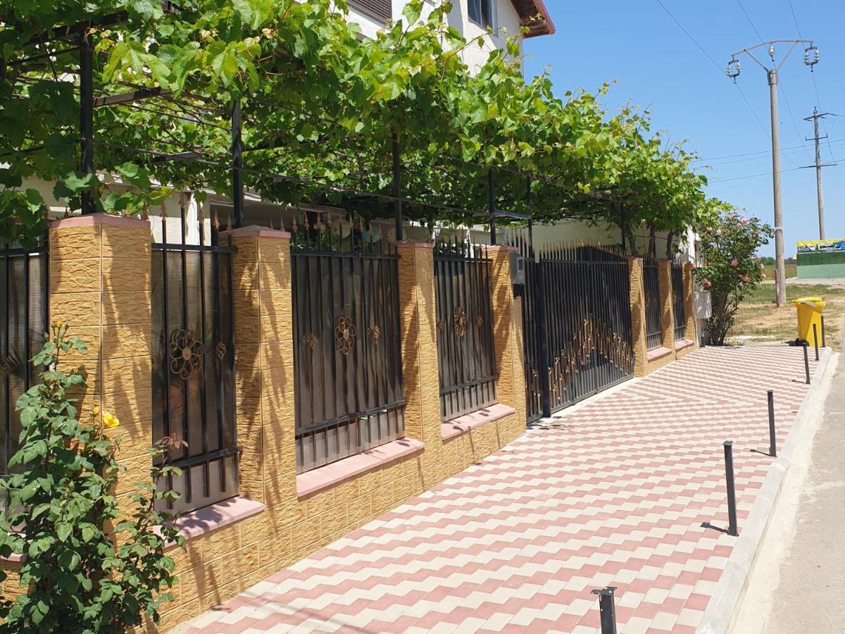 קוסטינסטי Vila Nico מראה חיצוני תמונה